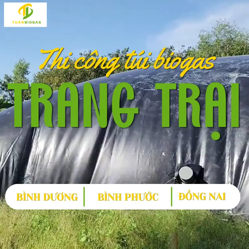 Thi Công Túi Biogas Cho Trang Trại Heo Tại Bình Dương, Đồng Nai, Bình Phước Chi Tiết Từ A-Z